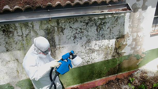 Top rated local Attic Mold Removal specialists in Broadway, NC